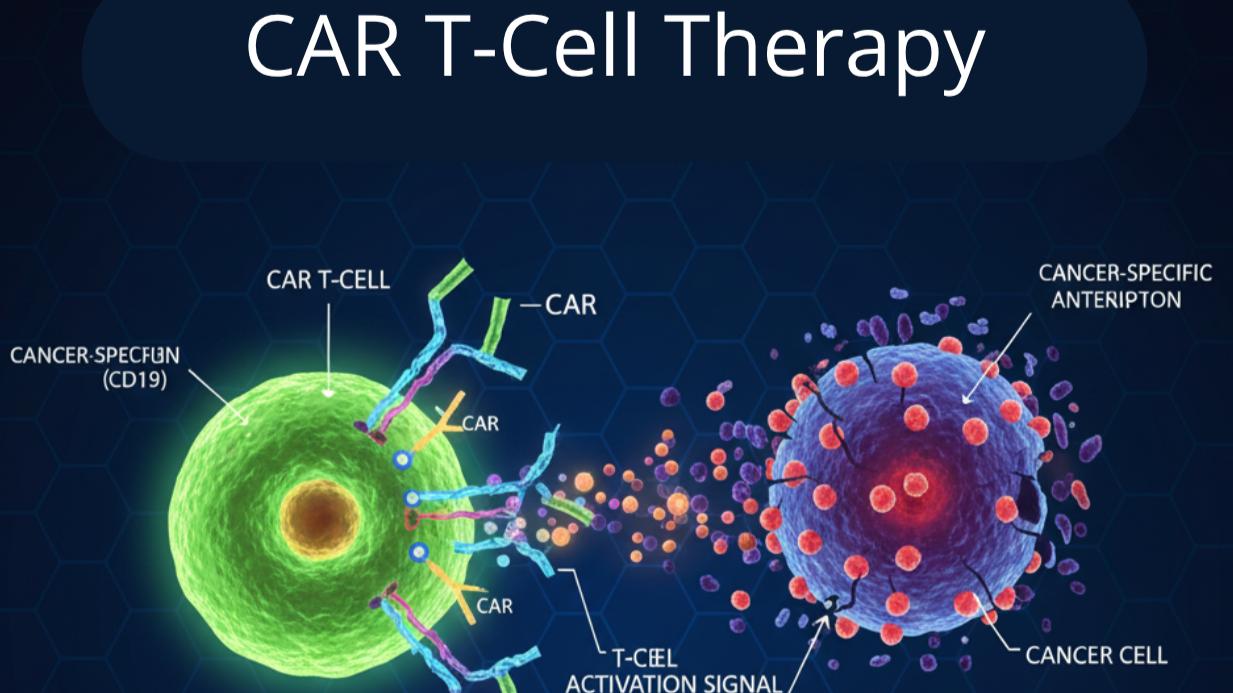 CAR-T Cell Therapy