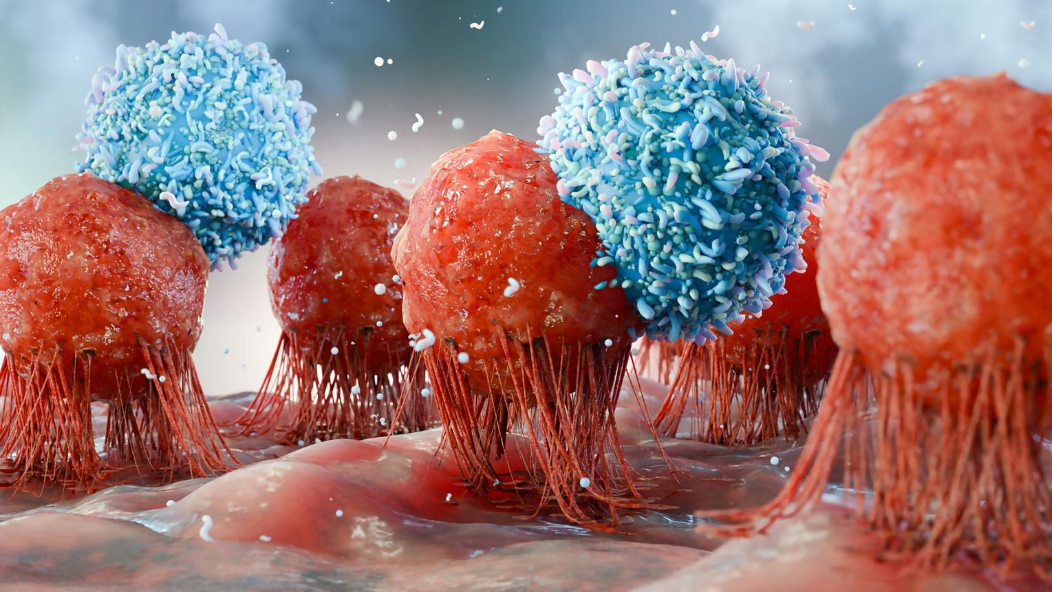 Immunotherapy
